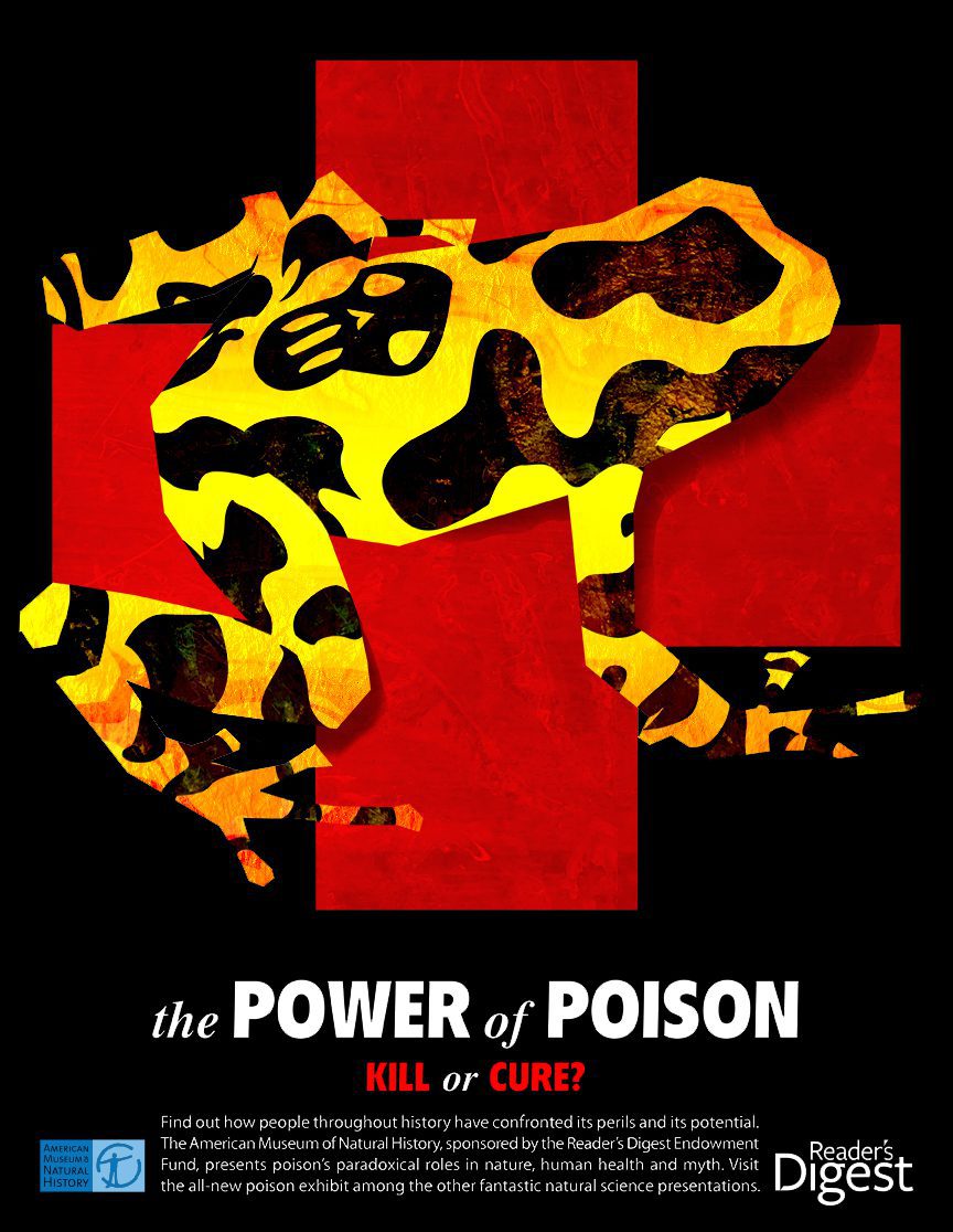 Poison Yellow+Frog Black72